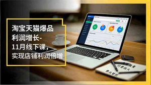 淘宝天猫爆品利润增长-11月线下课，免费流量、付费放大、费比管控，实现店铺利润倍增-资源站