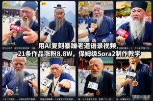 用AI复刻暴躁老道语录视频，21条作品涨粉8.8W，保姆级Sora2制作教学-资源站