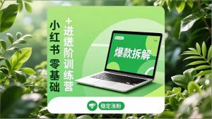 小红书零基础+高阶训练营：安全养号、爆款拆解、长效运营，实现稳定涨粉与变现-资源站