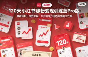 120天小红书涨粉变现训练营Pro版，精准涨粉，高效变现，为你量身打造的实战解决方案-资源站