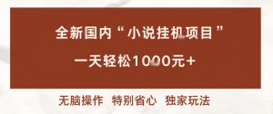 全新国内小说挂G项目，多窗口无脑跑，一天轻松1k+，特别省心【揭秘】-资源站