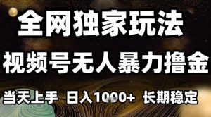 年底最新独家视频号无人直播撸礼物，小白也能轻松日入1k+，长期稳定，可批量复制【揭秘】-资源站