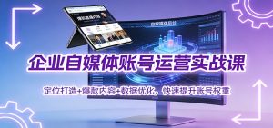 企业自媒体账号运营实战课：定位打造+ 爆款内容+数据优化，快速提升账号权重-资源站