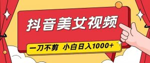抖音美女视频，一刀不剪，两分钟一条视频，小白轻松上手，日入1000-资源站