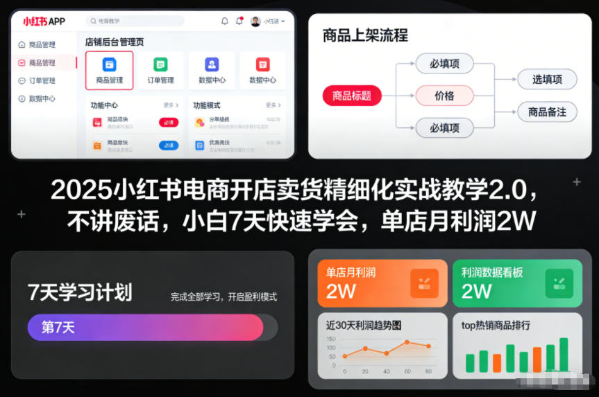 2025小红书电商开店卖货精细化实战教学2.0，不讲废话，小白7天快速学会，单店月利润2W-资源站