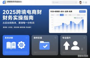 2025跨境电商财务实操指南，从后台到账本，算清每一分利润，系统讲解-案例实操-专业提升-资源站