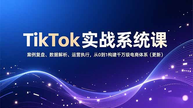 TikTok实战系统课，案例复盘、数据解析、运营执行，从0到1构建千万级电商体系(更新-资源站