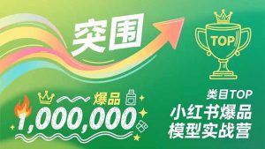 小红书爆品模型实战营，从新品突围到成为类目TOP，可复制路径，打造多个营收百万级爆品-资源站