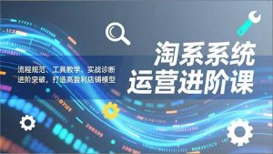 淘系系统运营进阶课2.0，流程规范、工具教学、实战诊断，进阶突破，打造高盈利店铺模型-资源站