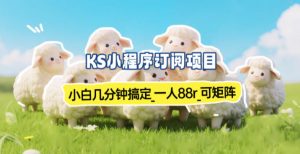 小程序订阅项目_小白几分钟搞定，一人88米，可矩阵(已测到账)-资源站