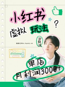 小红书虚拟玩法(铺货流和单品玩法)，单店月利润3000+，IP打法+原创商品(0违规)-资源站