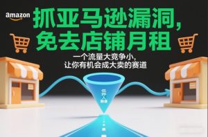 抓亚马逊漏洞，免去店铺月租，一个流量大竞争小，让你有机会成大卖的赛道-资源站