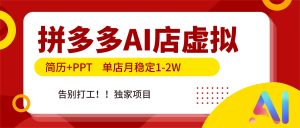 拼多多AI店，简历+PPT，单店月稳定1-2W，告别打工，独家项目！-资源站