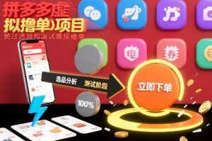 拼多多虚拟撸单项目，跳过选品和测试直接撸单-资源站