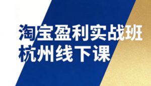 淘宝盈利实战班杭州线下课12月26-28日(音频+字幕)，帮你掌握SOP流程+12门核心技术-资源站