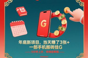年底新项目，当天賺了3张+，一部手机搬砖挂G，5分钟上手，保姆级教程【揭秘】-资源站
