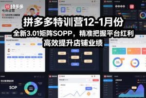 拼多多特训营12-1月份，全新3.01矩阵Sop，精准把握平台红利，高效提升店铺业绩-资源站
