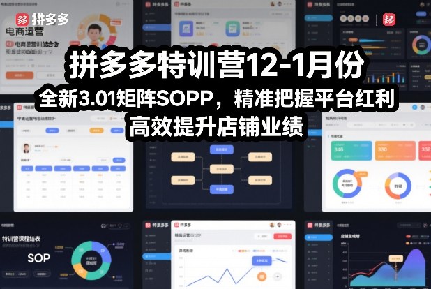 拼多多特训营12-1月份，全新3.01矩阵Sop，精准把握平台红利，高效提升店铺业绩-资源站