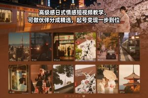 高级感日式情感短视频教学，可做伙伴分成精选，起号变现一步到位-资源站