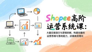 Shopee高阶运营系统课：大量实操演示与逻辑拆解，构建完整的运营思维与落地能力，店铺高效增长-资源站