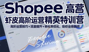 Shopee虾皮高阶运营精英特训营，高阶运营技巧+流量提升+转化率优化，助你业绩翻倍-资源站