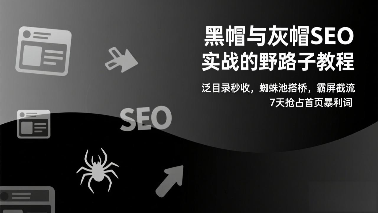 黑帽与灰帽SEO实战的野路子教程：泛目录秒收，蜘蛛池搭桥，霸屏截流，7天抢占首页暴利词-资源站