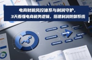 电商财税风控体系与利润守护，3天看懂电商税务逻辑，搭建利润防御系统-资源站