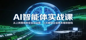 AI智能体实战课：从上岗落地到全自动运营，三天解锁企业降本增效密码-资源站