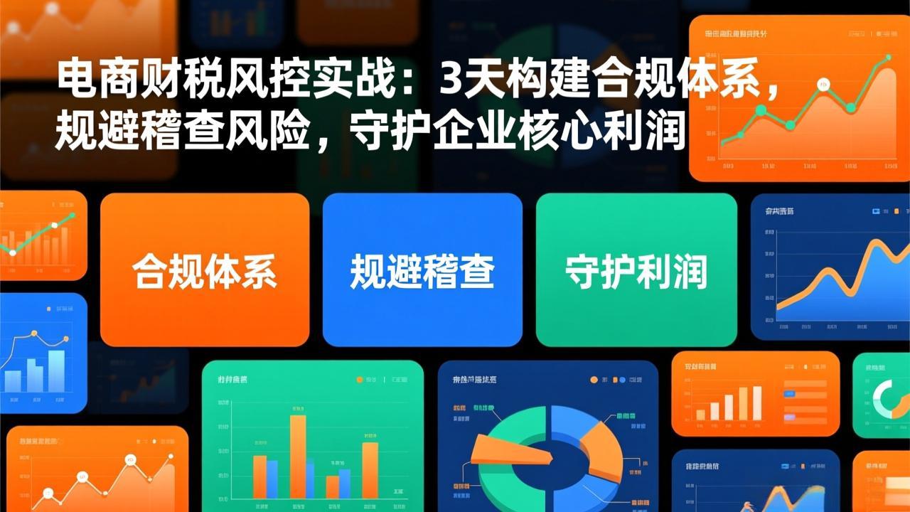 电商财税风控实战：3天构建合规体系，规避稽查风险，守护企业核心利润-资源站