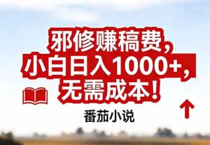 番茄小说赚稿费邪修玩法无需成本，真实日入1000+，超级简单！-资源站