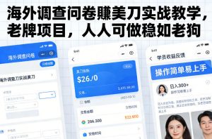 海外调查问卷賺美刀实战教学，老牌项目，人人可做稳如老狗-资源站