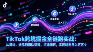 TikTok跨境掘金全链路实战：从算法、选品到团队管理，打通闭环，实现稳定月入万刀-资源站