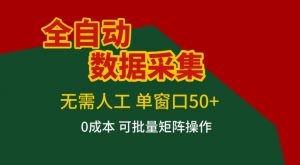 全自动数据采集，无需人工，单窗口50+，0成本可批量矩阵操作【揭秘】-资源站