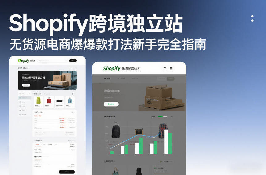 Shopify跨境独立站无货源电商爆款打法新手完全指南-资源站