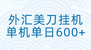 外汇美刀挂机：全自动挂机赚美金，单机600+-资源站