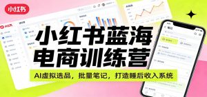 小红书蓝海电商训练营：AI虚拟选品，批量笔记，打造睡后收入系统-资源站
