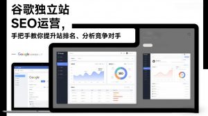 谷歌独立站SEO运营，手把手教你提升网站排名、分析竞争对手(更新2026)-资源站