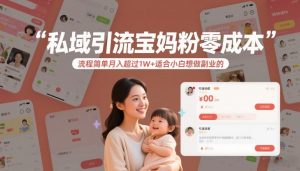 私域引流宝妈粉零成本流程简单月入超过1W+适合小白想做副业的-资源站