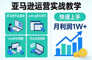 亚马逊运营实战教学，亚马逊平台+Listing优化+Vine秒杀+FBA发货等，快速上手，实现店铺月利润1W-资源站