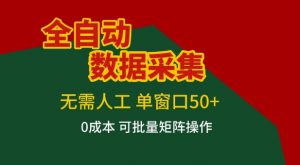 全自动数据采集项目，无需人工，单窗口可达50+收益，操作简单无难度，一个人也能轻松实现矩阵【揭秘】-资源站