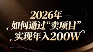 站在2026年的十字路口：一个普通人如何通过卖项目实现年入200万-资源站