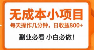 无成本小项目 每天操作几分钟，真实日收益800+ 副业必看 小白必做！-资源站