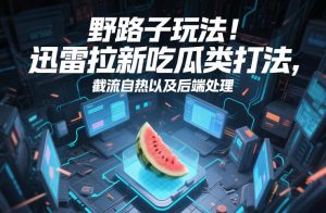 野路子玩法！迅雷拉新吃瓜类打法，截流自热以及后端处理-资源站