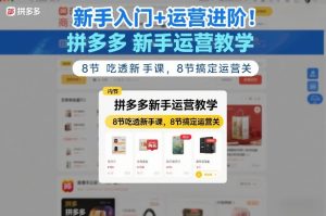 新手入门+运营进阶！拼多多新手运营教学，8节吃透新手课，8节搞定运营关-资源站