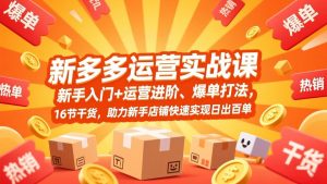 拼多多运营实战课，新手入门+运营进阶、爆单打法，16节干货，助力新手店铺快速实现日出百单-资源站