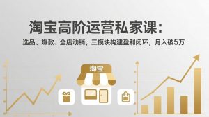淘宝高阶运营私家课：选品、爆款、全店动销，三模块构建盈利闭环，月入破5万(更新26年2月-资源站