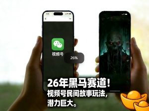 26年黑马赛道，视频号民间故事类玩法，潜力巨大，每日收益超5张-资源站