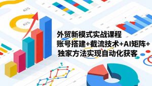 外贸新模式实战课程-更新2月，账号搭建+截流技术+AI矩阵+独家方法实现自动化获客-资源站