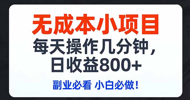 无成本小项目,每天操作几分钟,日收益800+ 副业必看 小白必做！-资源站