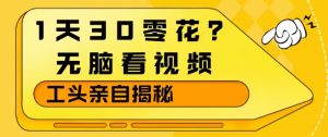 1天30零花?无脑看视频,大佬亲自揭秘-资源站